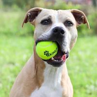 Alternative view of Akinu tennis ball for dog